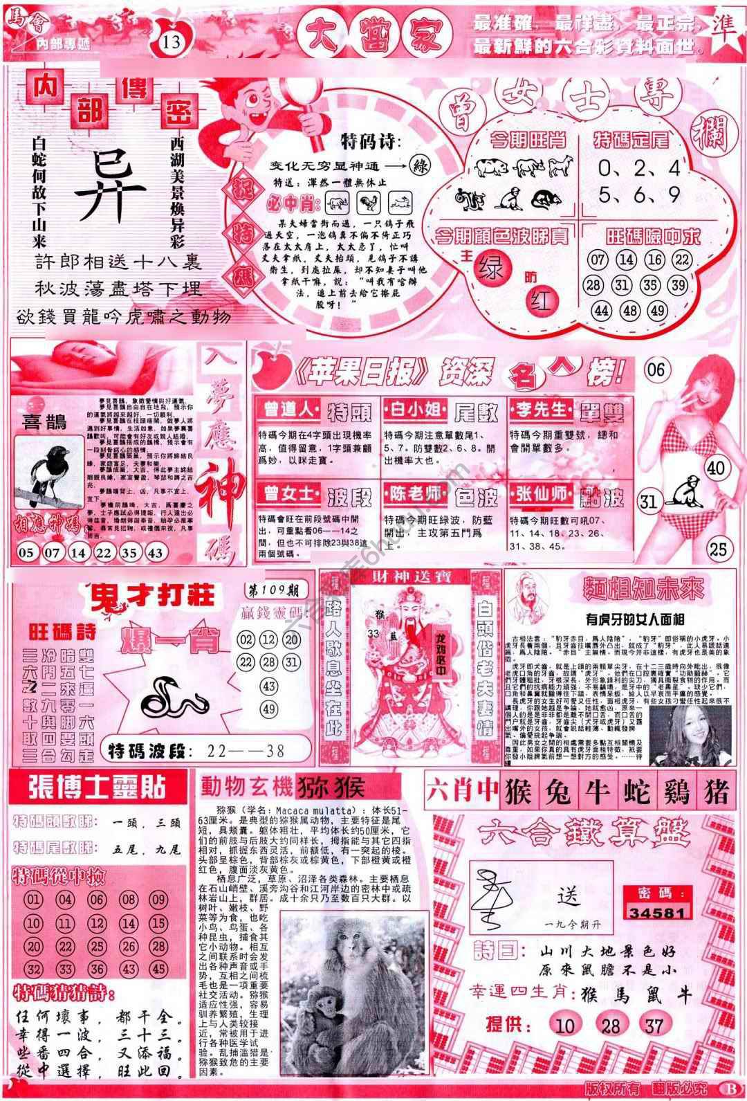 大当家