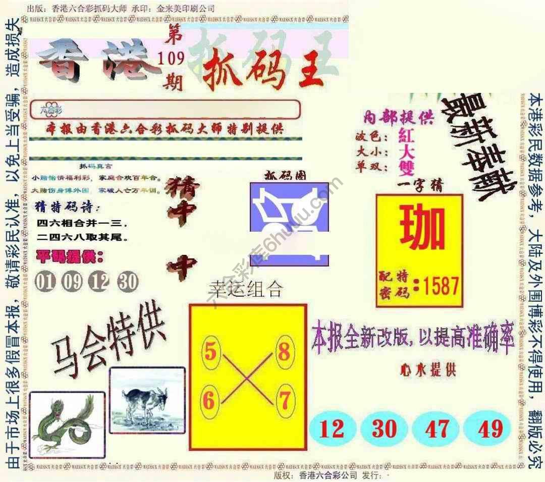 新抓码王