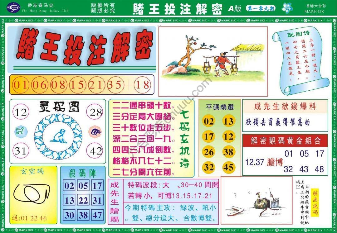 赌王投注解密