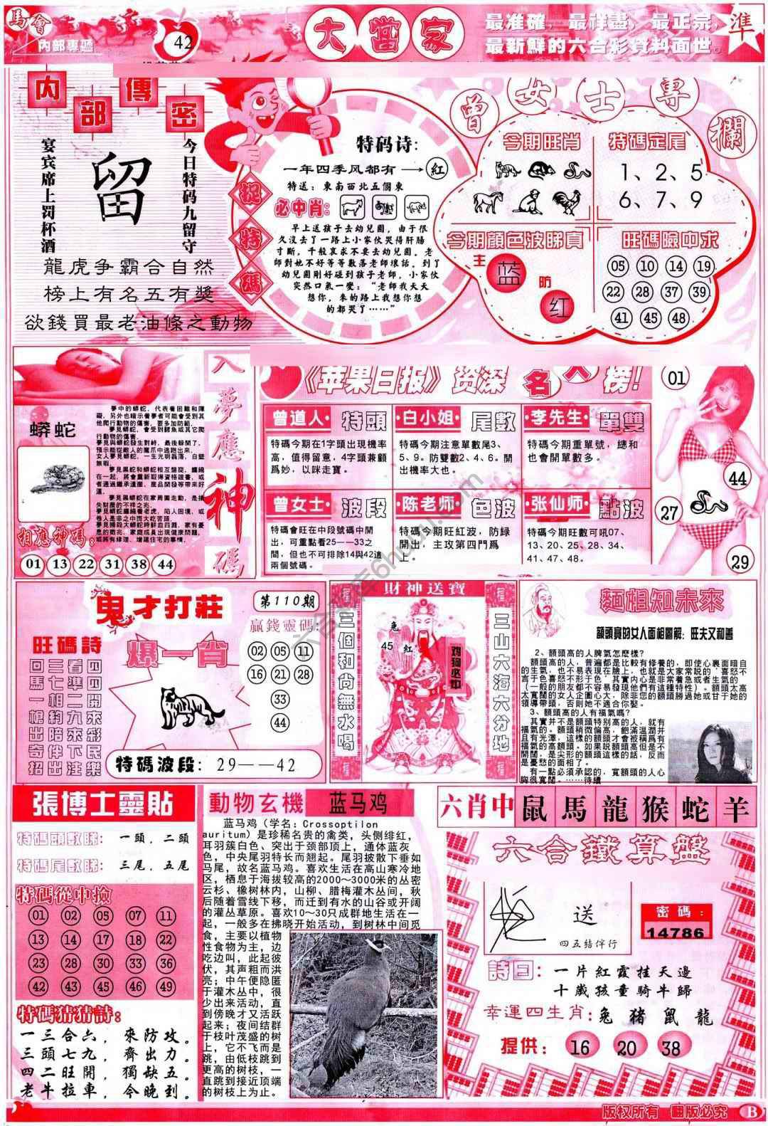 大当家