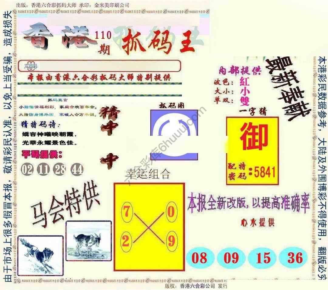 新抓码王