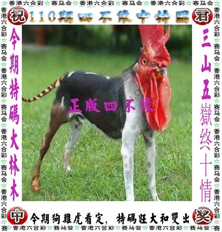 四不像中特图
