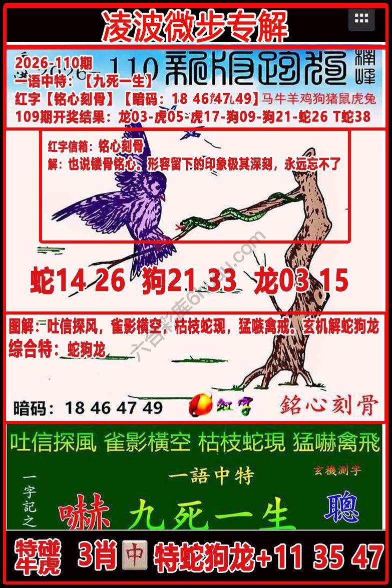 凌波微步解跑狗