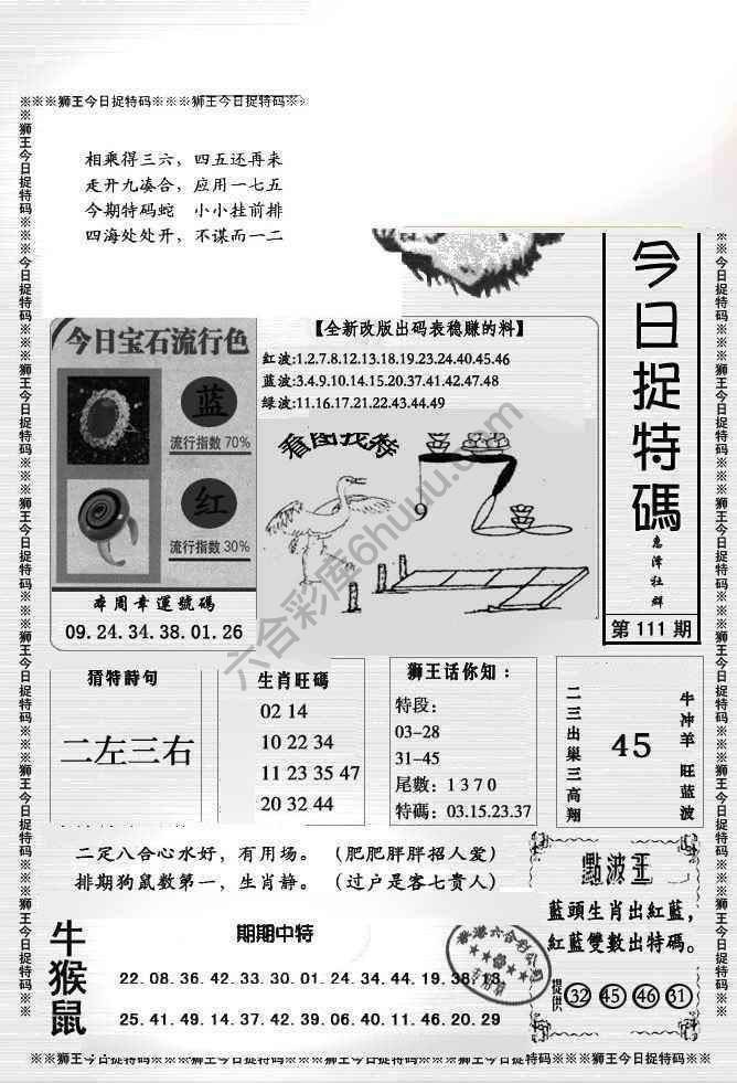 狮王今日抓特码