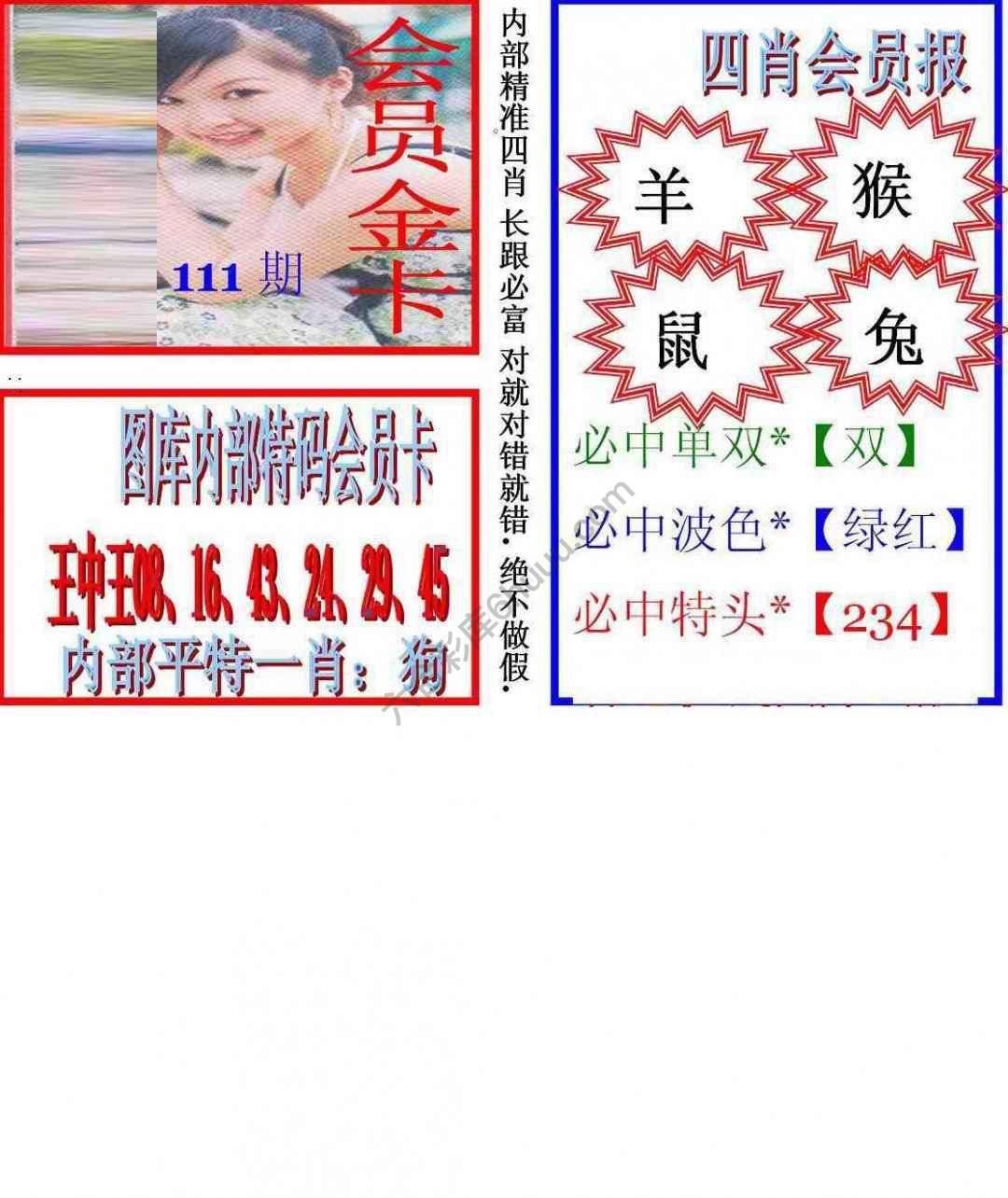 马经四肖会员报