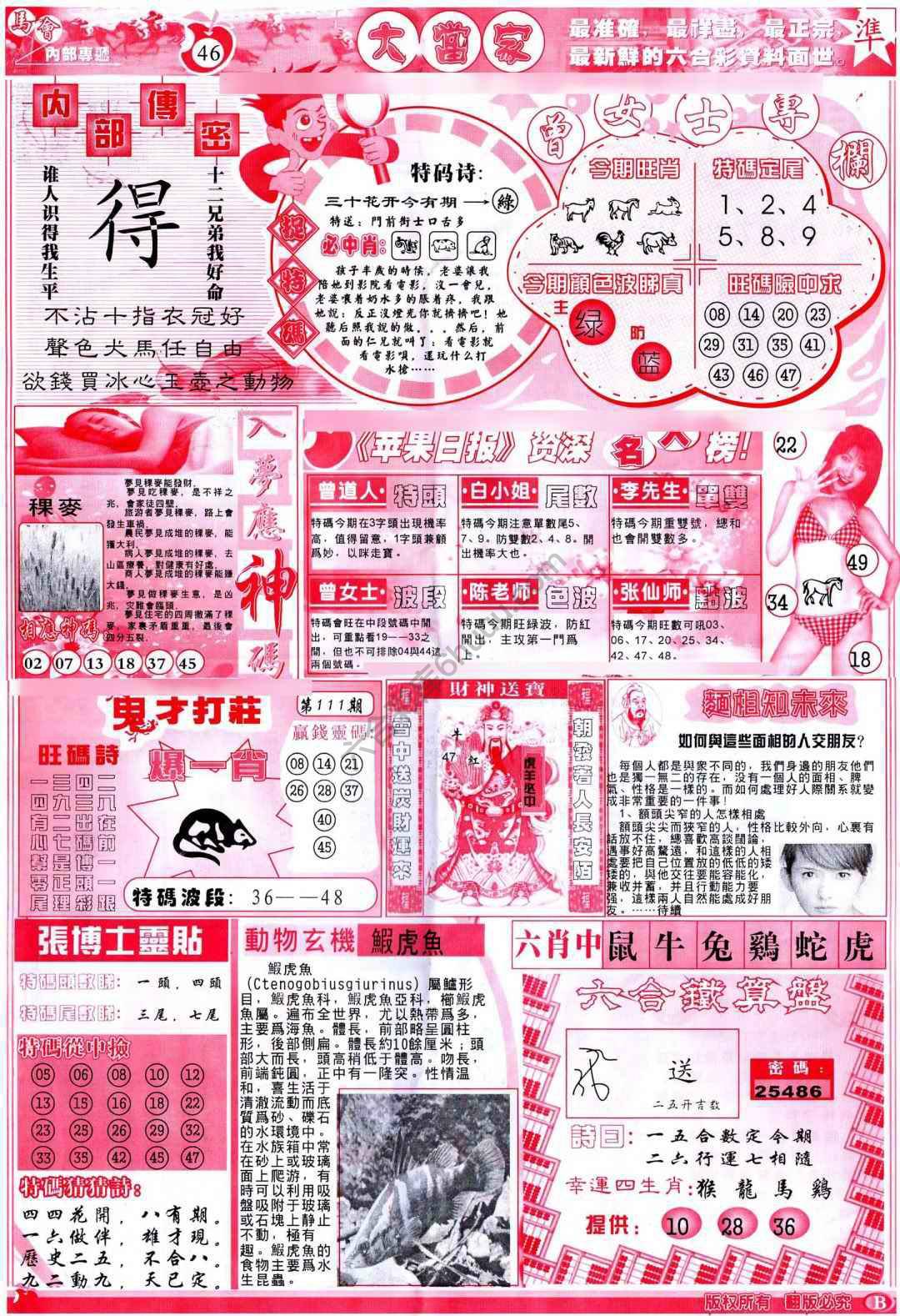 大当家