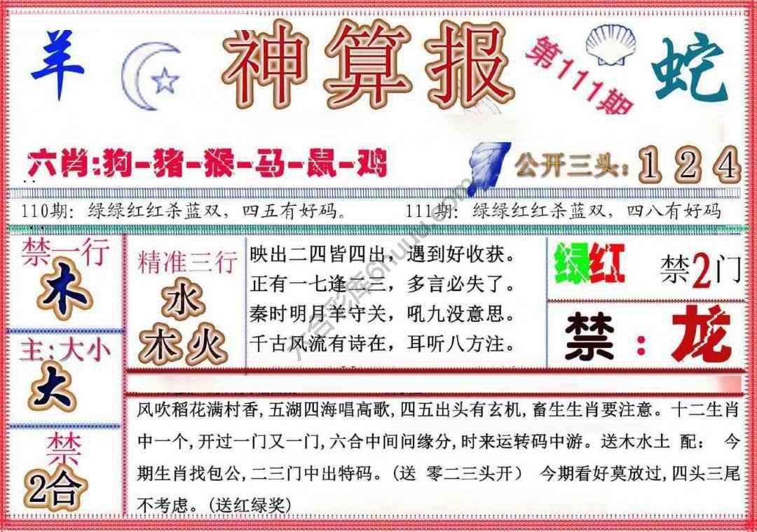 神算报新版