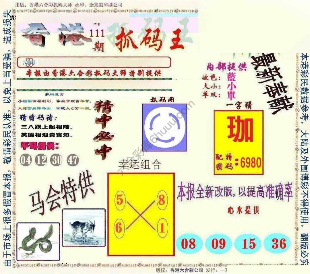 新抓码王