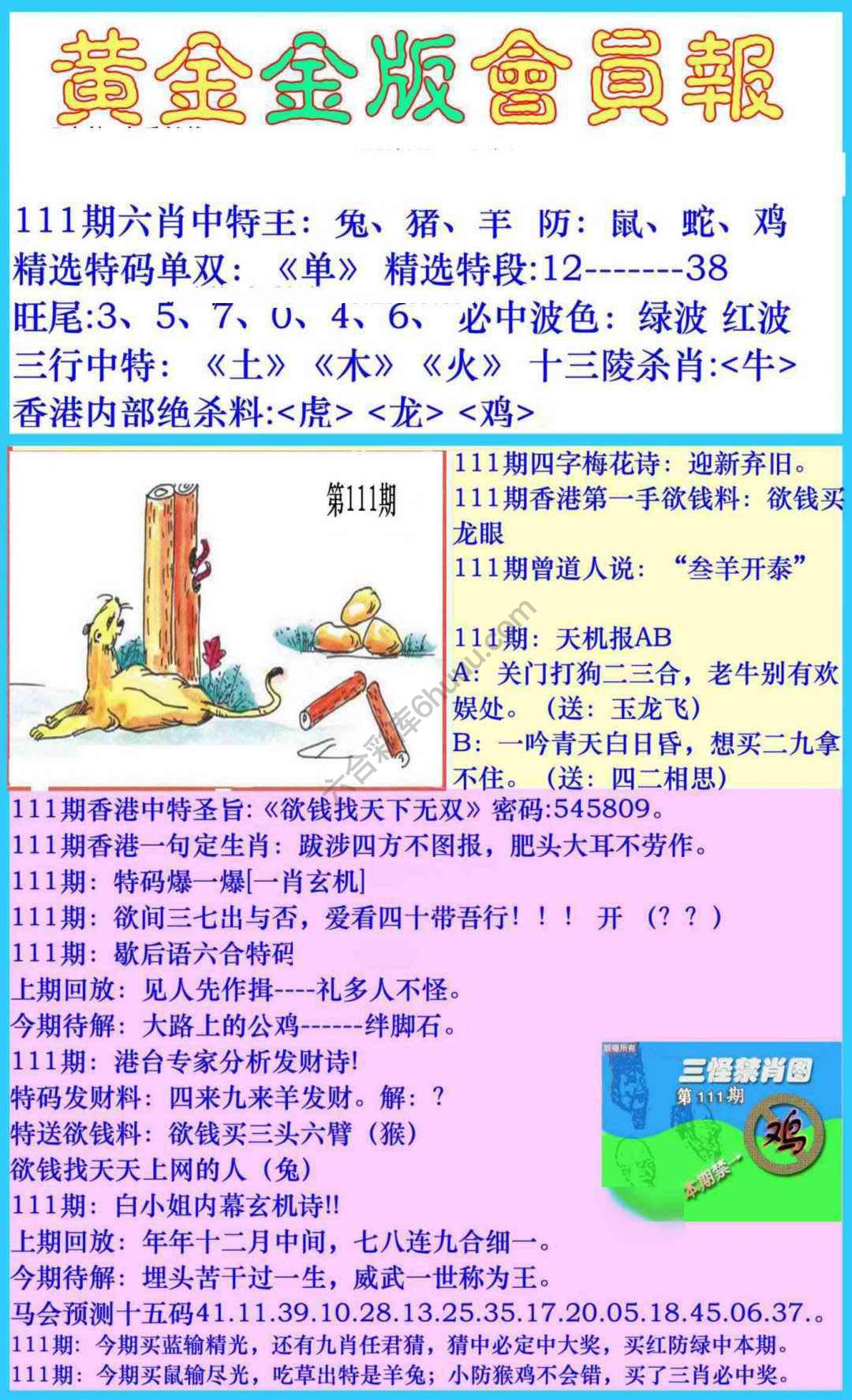黄金金版会员报
