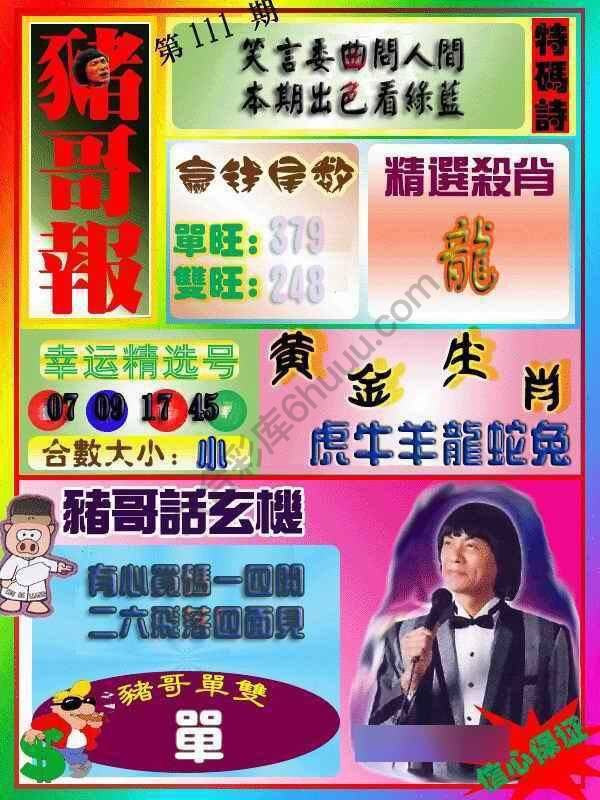 猪哥报