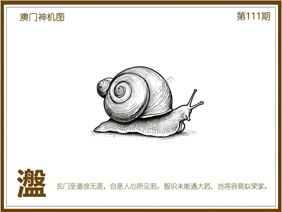 澳门神机图