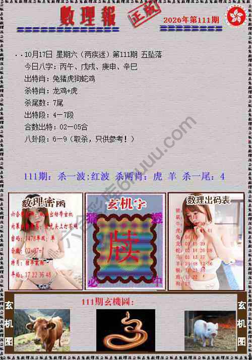 数理报