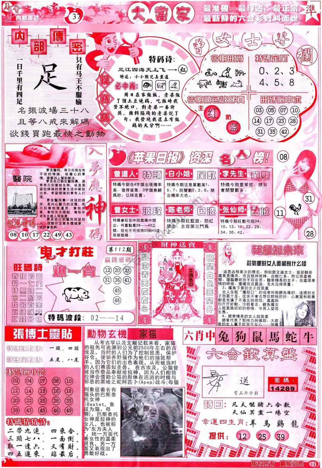 大当家
