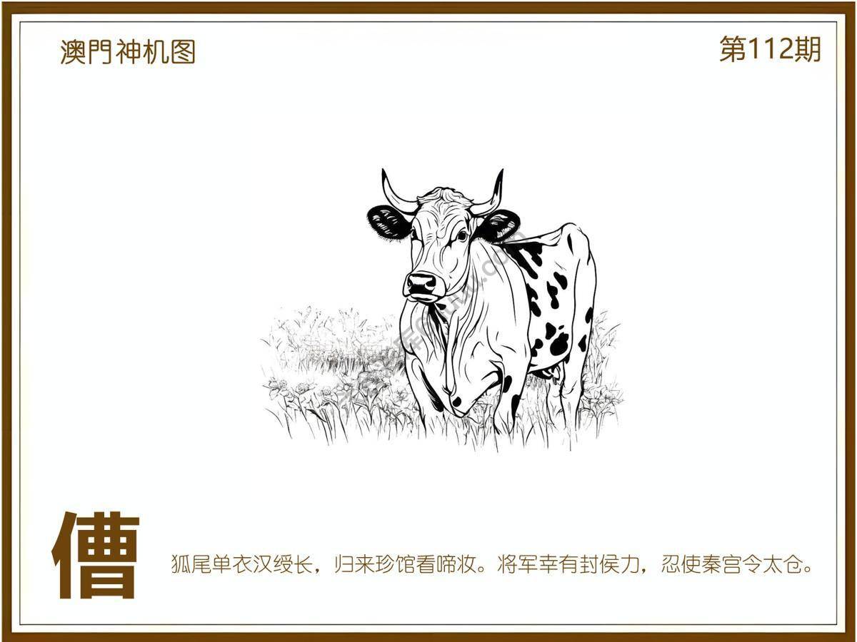 澳门神机图
