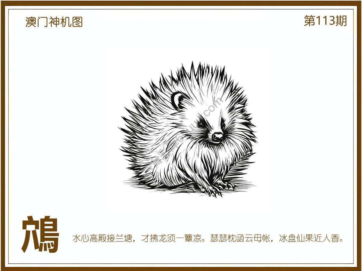 澳门神机图