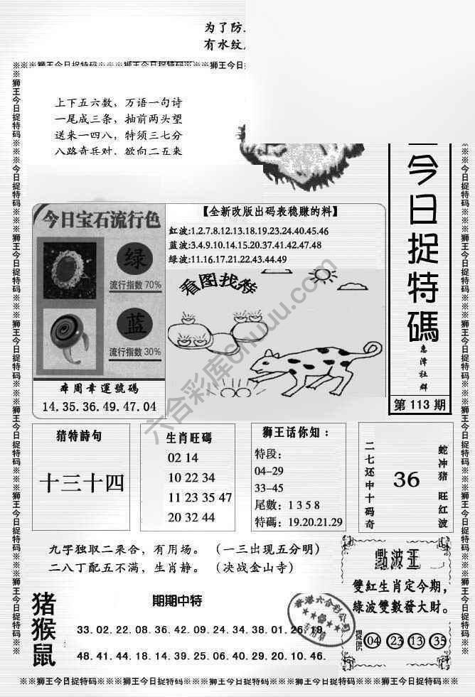 狮王今日抓特码