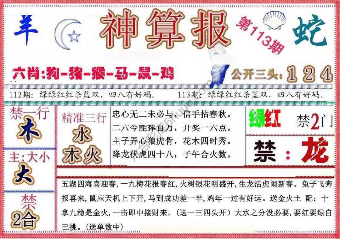 神算报新版