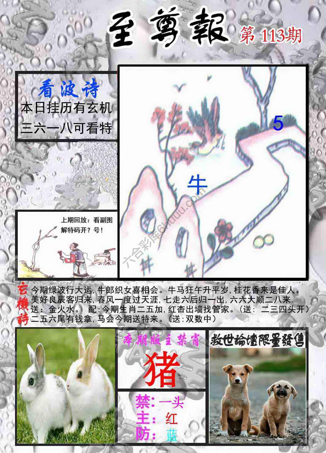至尊报