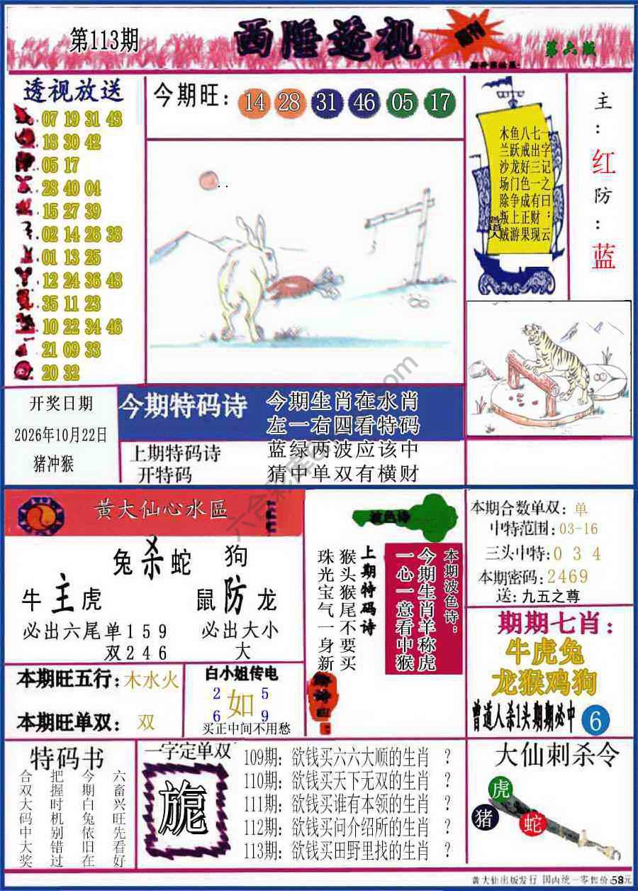 西陲透视（正版）