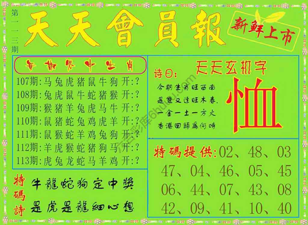 天天会员报