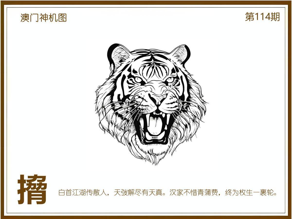 澳门神机图