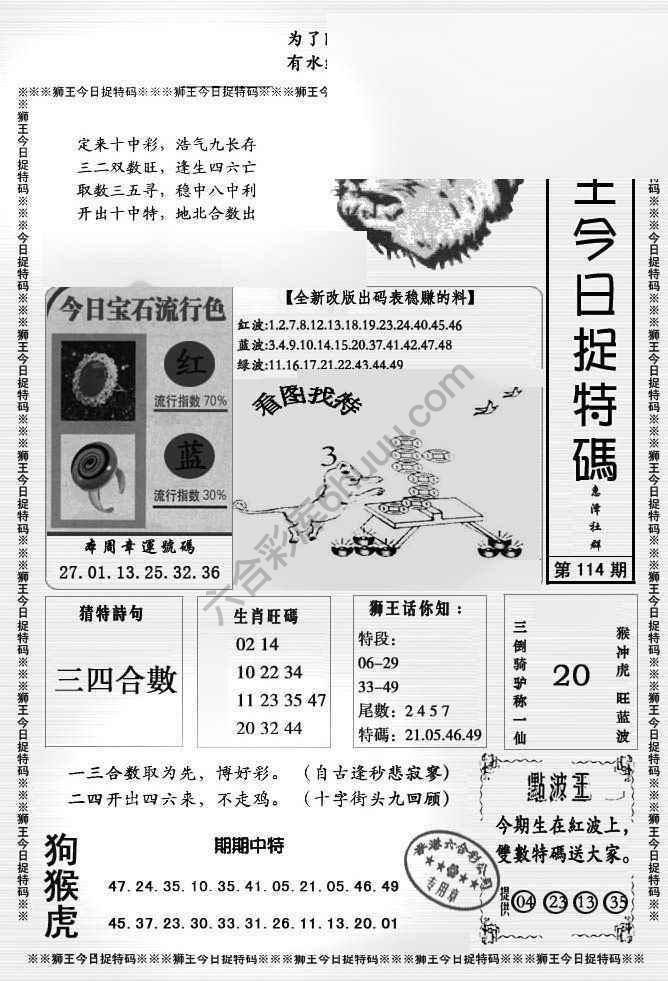 狮王今日抓特码
