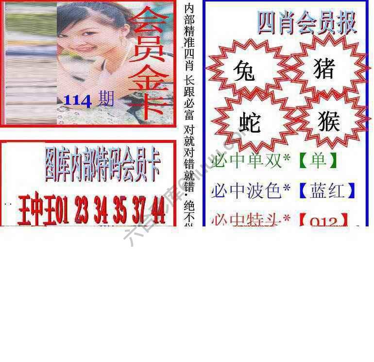 马经四肖会员报