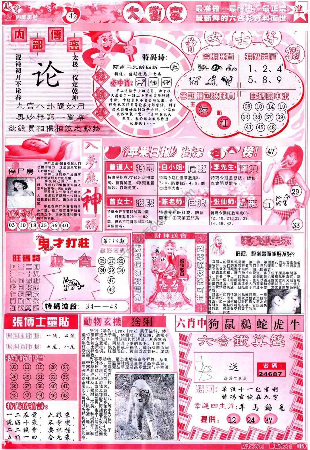 大当家