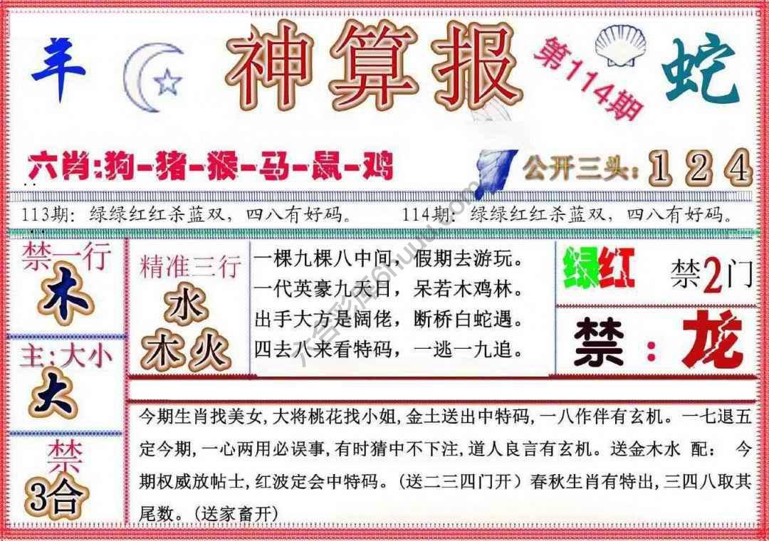 神算报新版