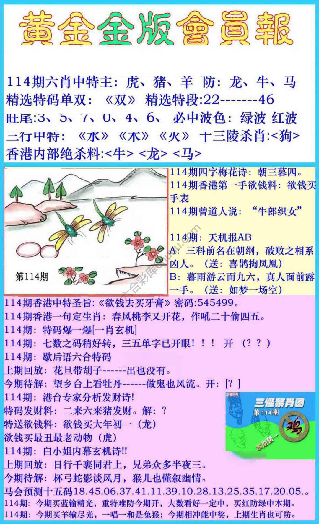 黄金金版会员报